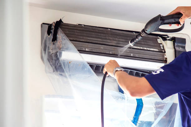 Best Mold and Mildew Removal from Ducts in Caryville, TN