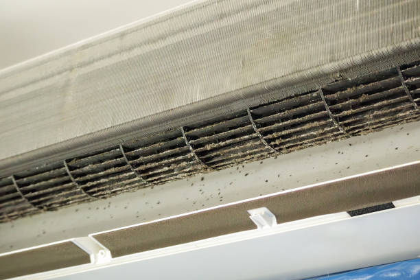 Best Commercial Air Duct Cleaning in Caryville, TN