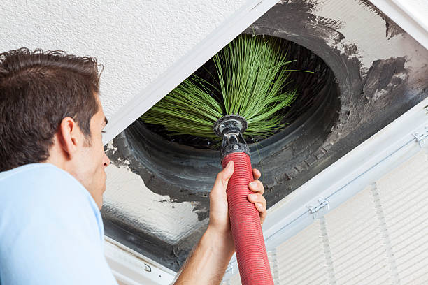 Best Duct Repair and Sealing Services in Caryville, TN